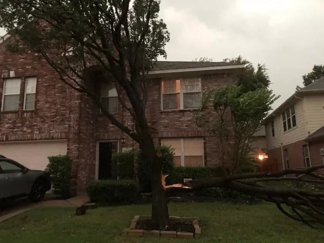 Emergency Tree Services service in Prosper