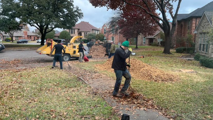 Land & Lot Clearing service in Prosper