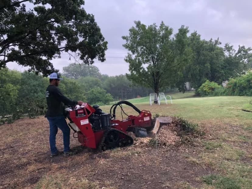 Stump Grinding service in Prosper